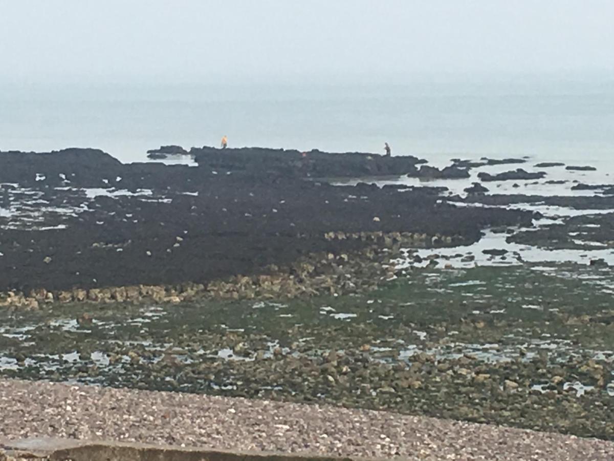 Apartmán Les Mouettes, A Moins De 50 Metres De La Plage Veulettes-sur-Mer Exteriér fotografie